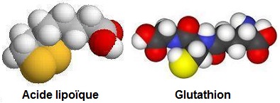 Antioxydants (مضادات الأكسدة). Structure 3D. Glutation et acide lipoïque