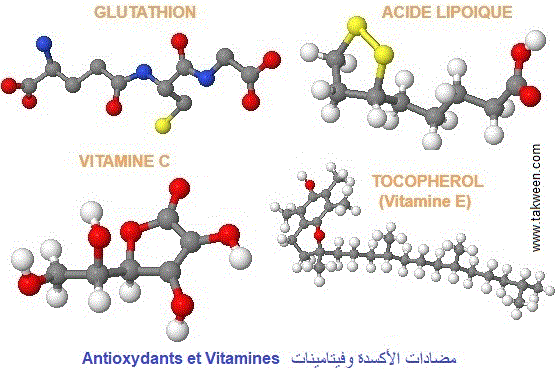 antioxydants (مضادات الأكسدة), vitamines C et E