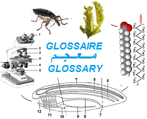 Glossaire Biologie, Biochimie Fr-Ar-Eng