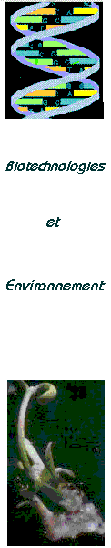 biotech et environnement