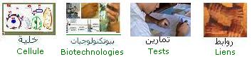 Cellule-biotechnologies. Tests et qcm