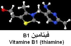Coenzymes et vitamine (B1)