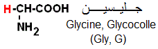 Glycine. Acide aminés hydrocarbonnés