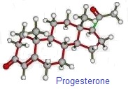 progestérone