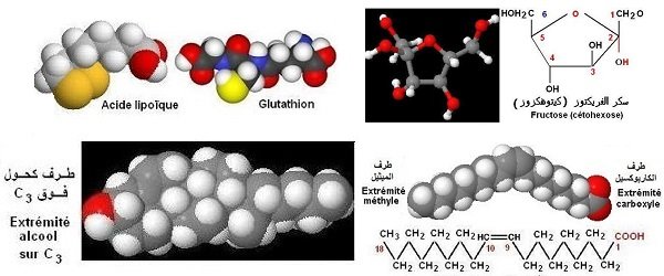 Biochimie. Structures - علوم الحياة, بيوكيمياء