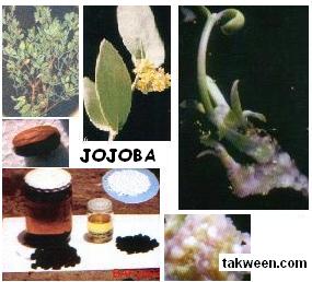 Biotechnologies