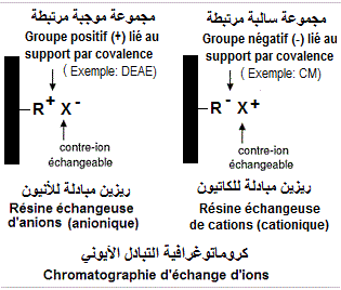 chromatographie échange ions, كروماتوغرافيا التبادل الإيوني