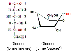 glucose 'bateau'