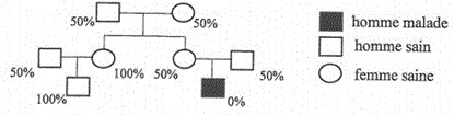 pedigree