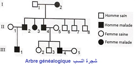 pedigree