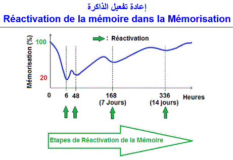 mémoire réactivation