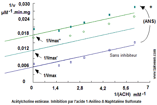 acétylcholine estérase. Inhibiteur ANS