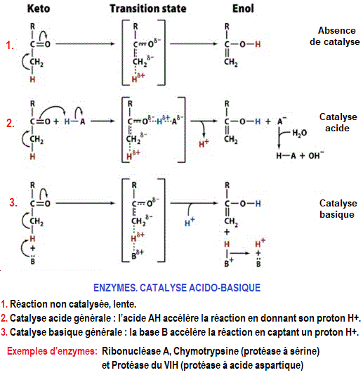 catalyse acido-basique