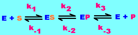 complexe enzyme-substrat
