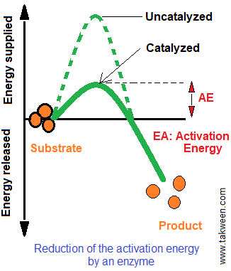 energie activation