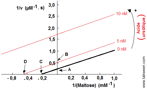 alpha-glucosidase cinétique