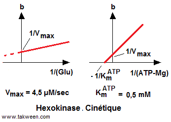 Diagramme secondaire