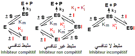 Inhibiteurs des enzymes. Types