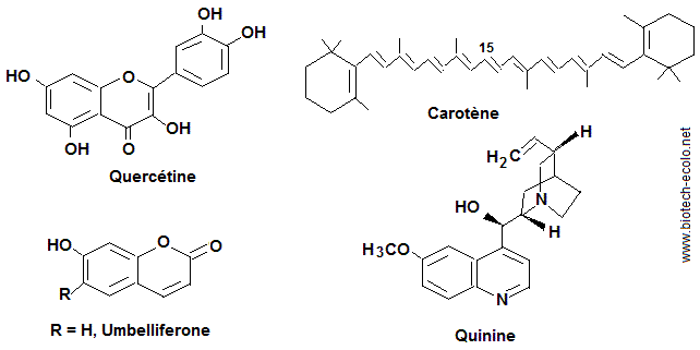Métabolisme secondaire (Molécules). Examens S5