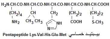 Pentapeptides (5 acides aminés)
