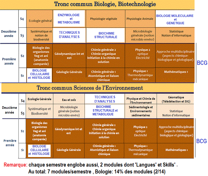 études à l'Université