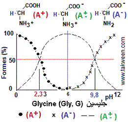 glycine