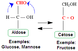 Interconversion aldose-cétose