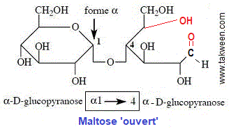 maltose