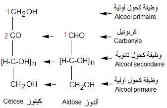 aldose, cétose