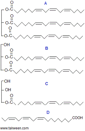 lipides