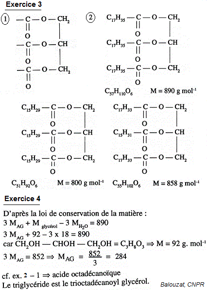 lipides