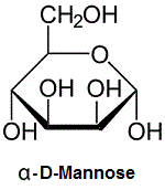 Mannose-D-alpha