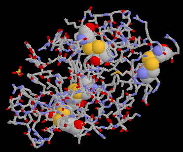 Lysozyme. structure Rastop