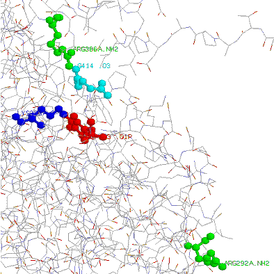 Structure par Rastop