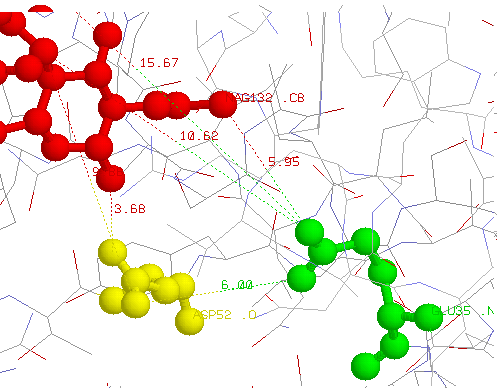 acides aminés du site actif proches du substrat de l'enzyme