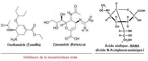oseltamivir (tamiflu), zanamivir