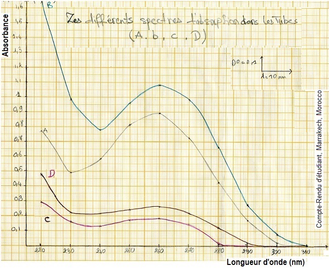 Acides nucléiques. absorption