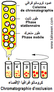 Exclusion, gel permeation