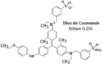 bleu de Coomassie