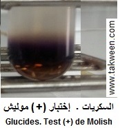sucres (glucides). Molish