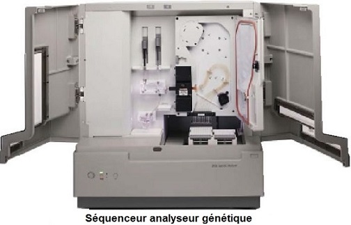ADN Séquenceur. Séquençage, ADN