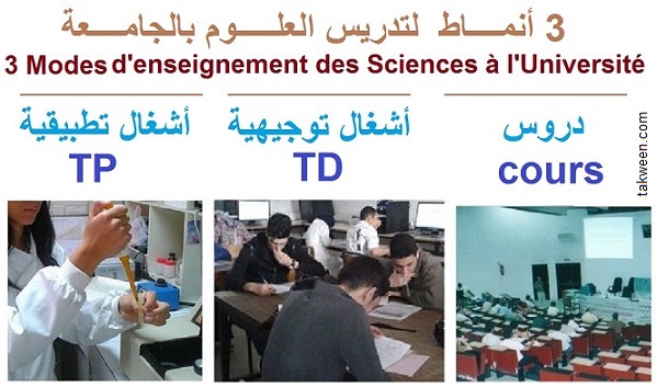 cours, td, tp