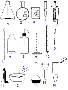 بيوكيمياء، مفردات